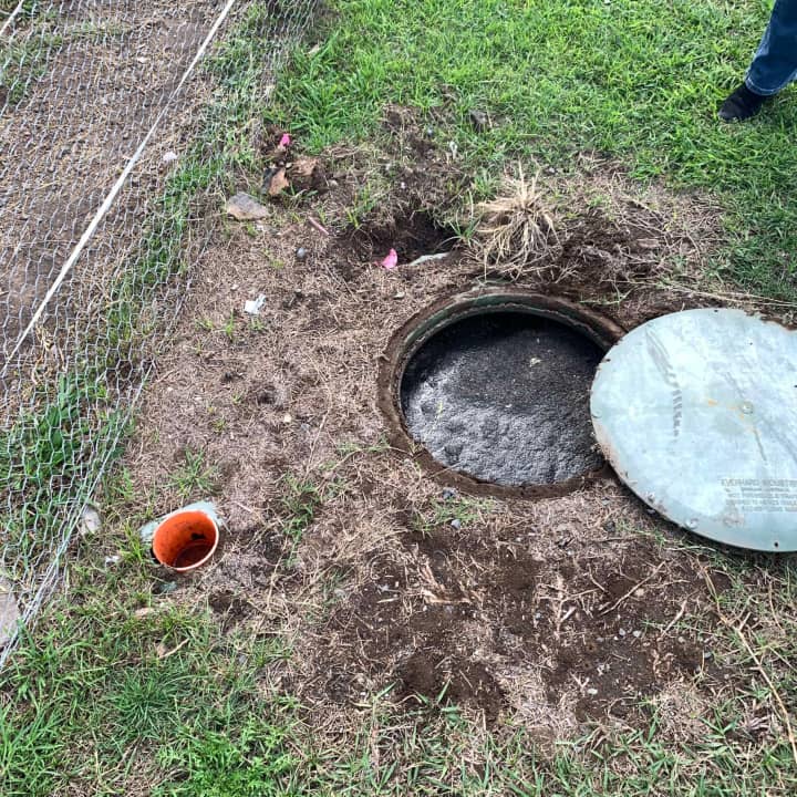 east auckland blocked drains